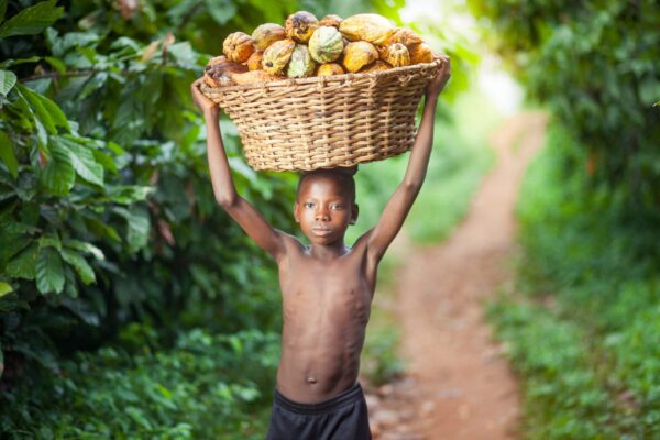 Mankranso,ghana-,June,14,,2018:,A,Little,Boy,Carrying,A,Basket